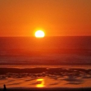 Meet your Posher, Scott